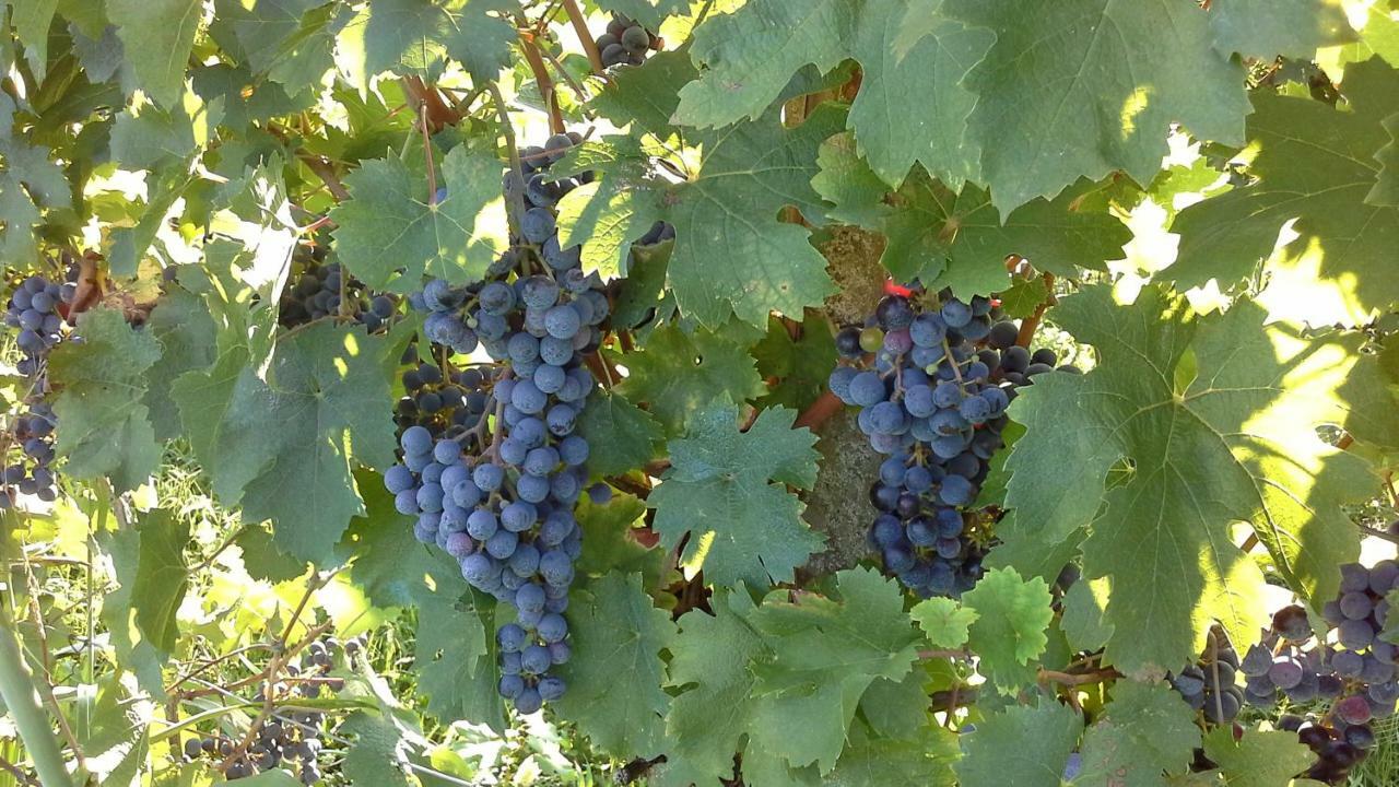 Agriturismo Le Giarine Fogliano Redipúglia Екстериор снимка
