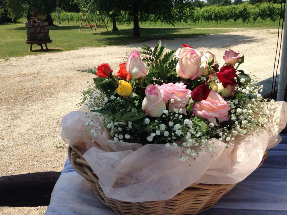 Agriturismo Le Giarine Fogliano Redipúglia Екстериор снимка
