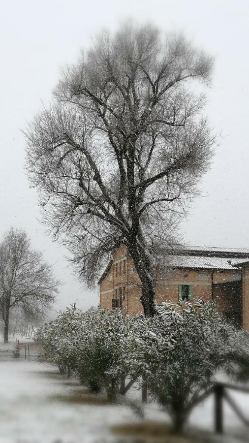 Agriturismo Le Giarine Fogliano Redipúglia Екстериор снимка